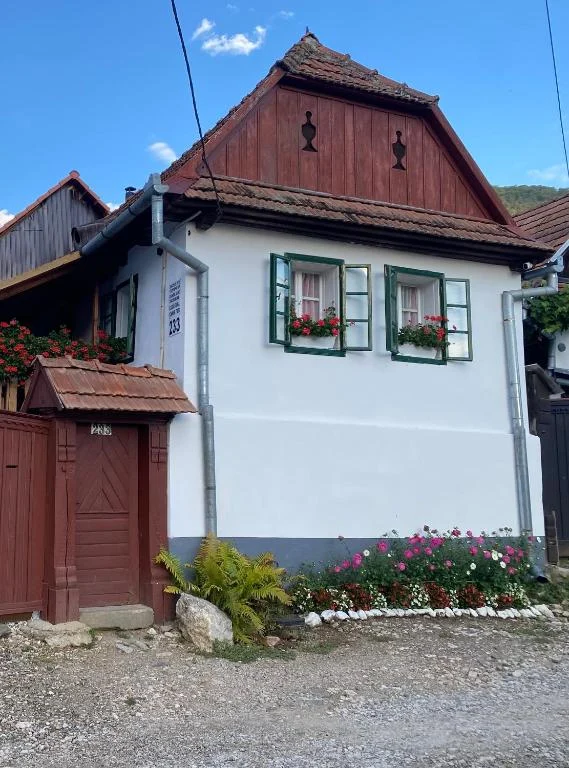 Casa cu ferestre verzi